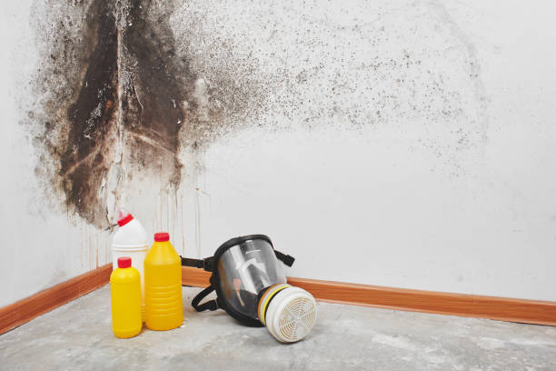 Best Industrial Mold Remediation in Goldens Bridge, NY