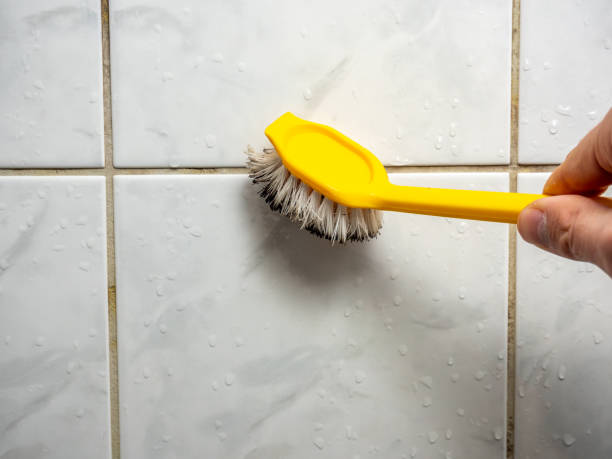 Best Insurance-Related Mold Remediation in Goldens Bridge, NY
