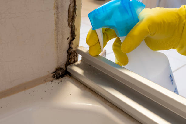 Best Mold Testing and Inspection Services in Goldens Bridge, NY