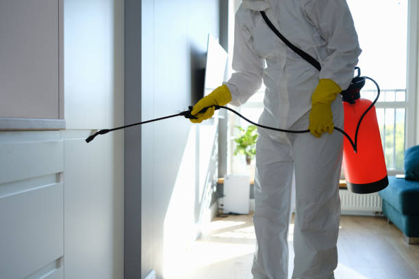 Best Attic Mold Remediation in Goldens Bridge, NY