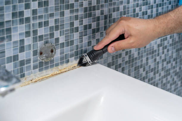 Best Localized Mold Remediation (e.g., coastal areas, humid climates) in Goldens Bridge, NY