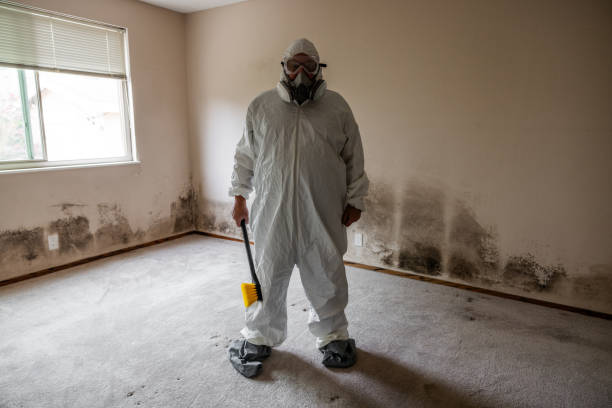Trusted Goldens Bridge, NY Mold Remediation Experts