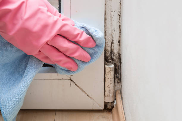 Best Post-Remediation Services in Goldens Bridge, NY